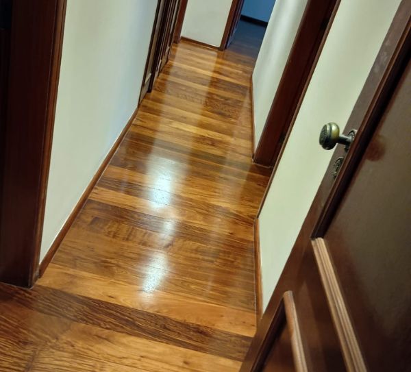 Raspagem profissional de piso de madeira antes da aplicação de sinteco